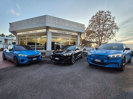 D'Arcangelo Motor 2 Srl